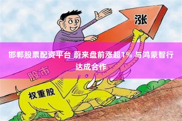 邯郸股票配资平台 蔚来盘前涨超1% 与鸿蒙智行达成合作