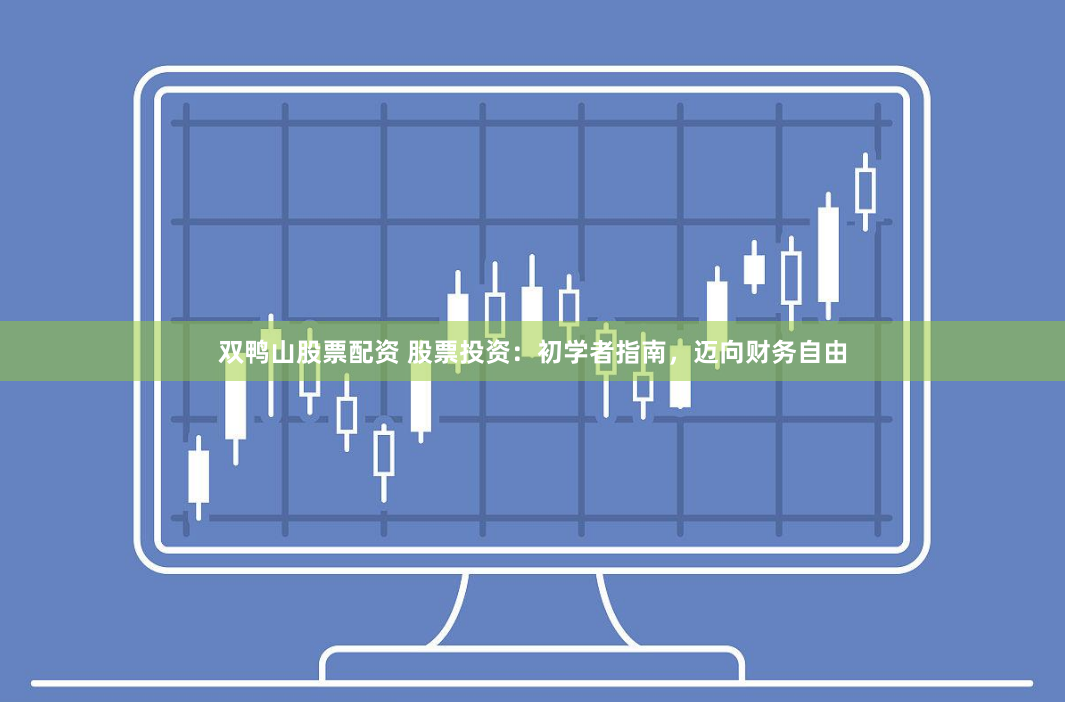 双鸭山股票配资 股票投资：初学者指南，迈向财务自由